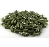 chlorella spiruline